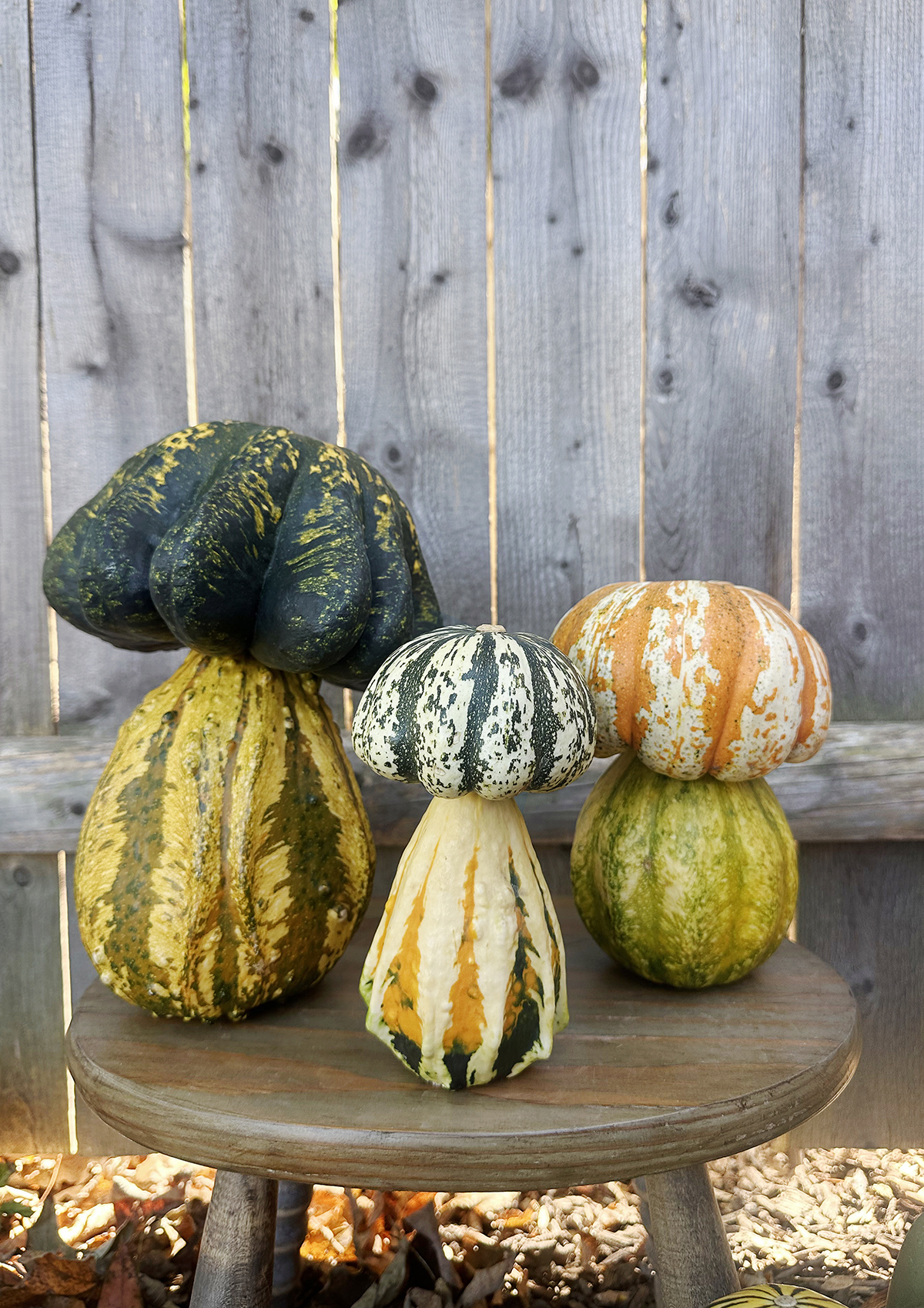 three stacked mushrooom pumpkins in front of wooden fence